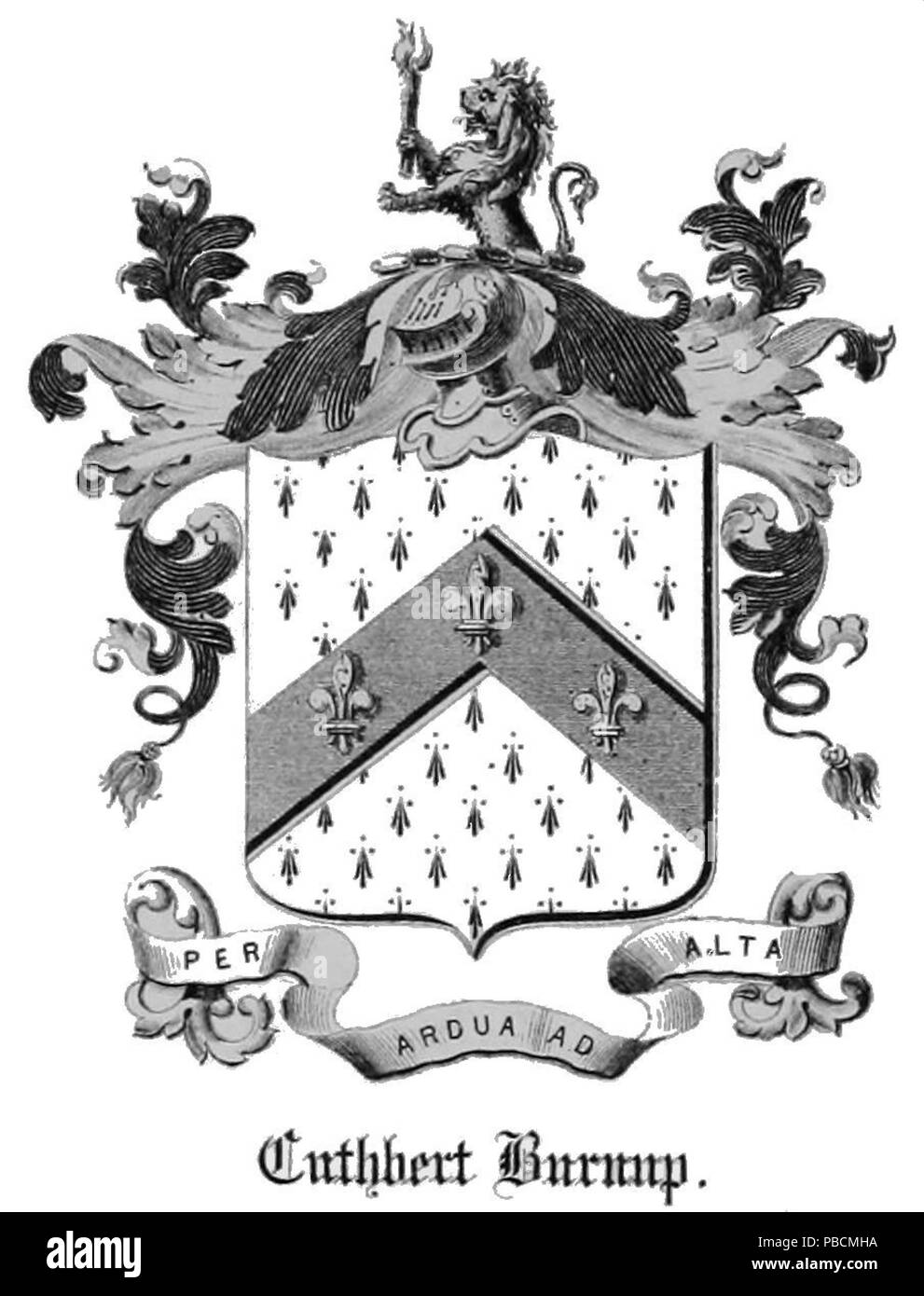 Cuthbert Cut Out Stock Images & Pictures Alamy