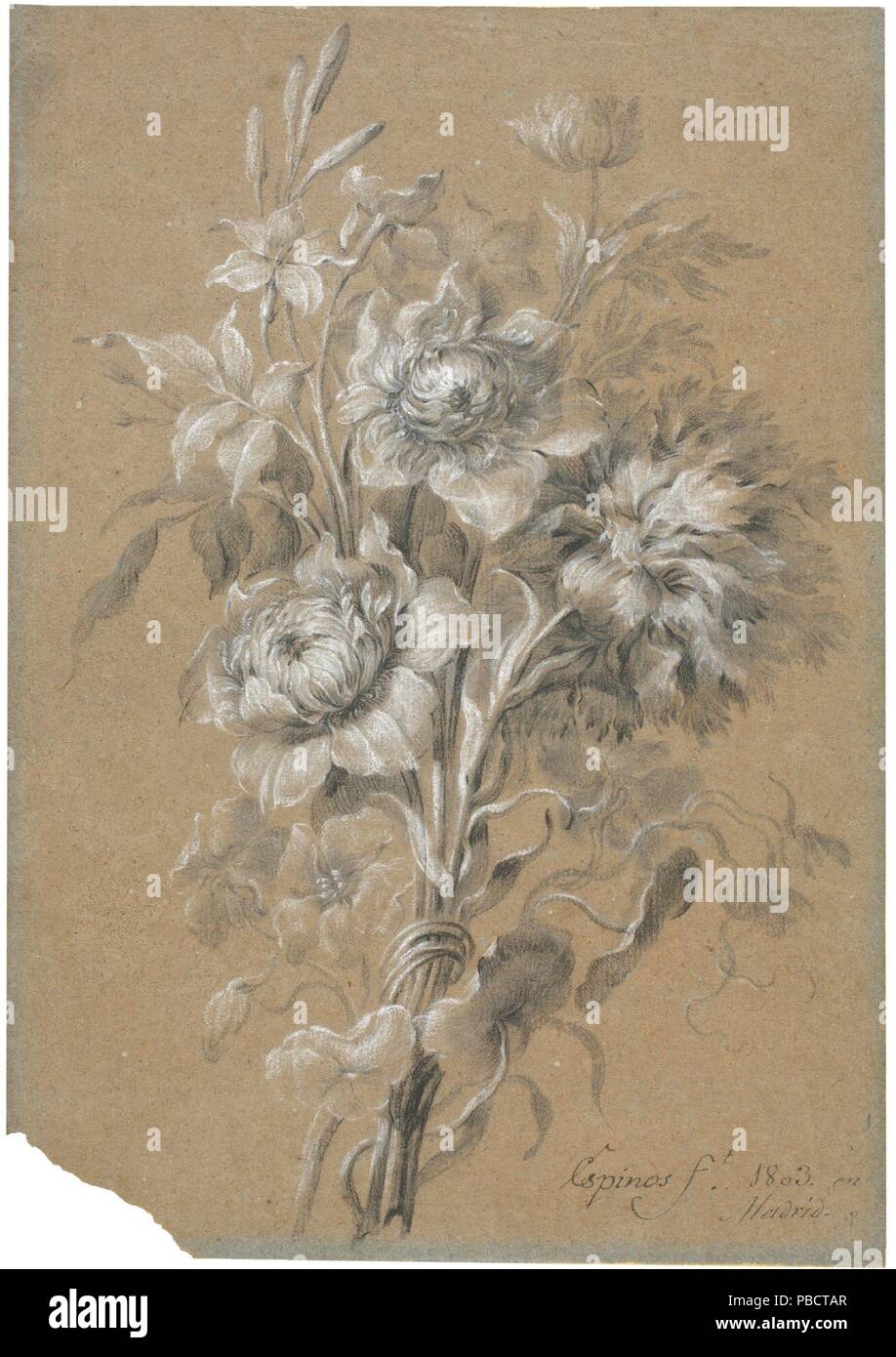 Benito Espinós / 'Bouquets of Flowers'. 1803. White chalk, Black chalk on grey laid paper. Museum: Museo del Prado, Madrid, España. Stock Photo