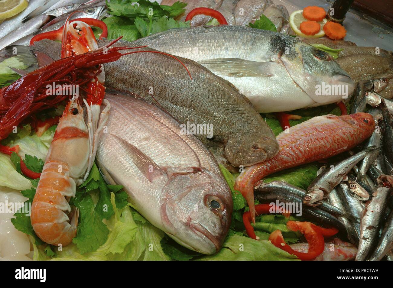 Fresh fish and seafood, Cadiz, Region of Andalusia, Spain, Europe. Stock Photo