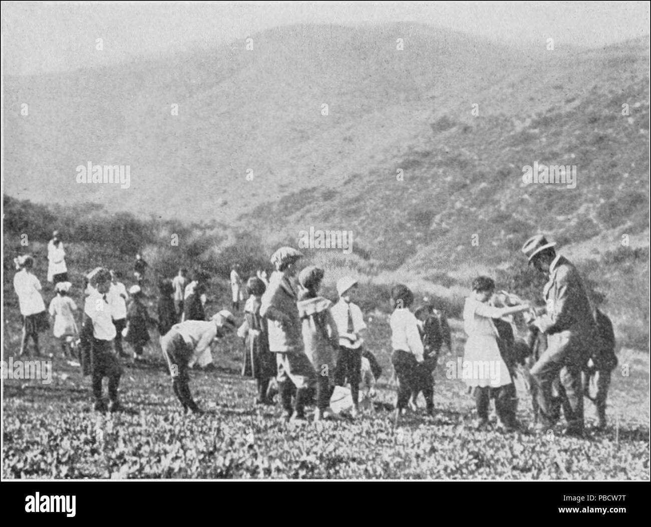 Collecting hobbies Black and White Stock Photos & Images - Alamy
