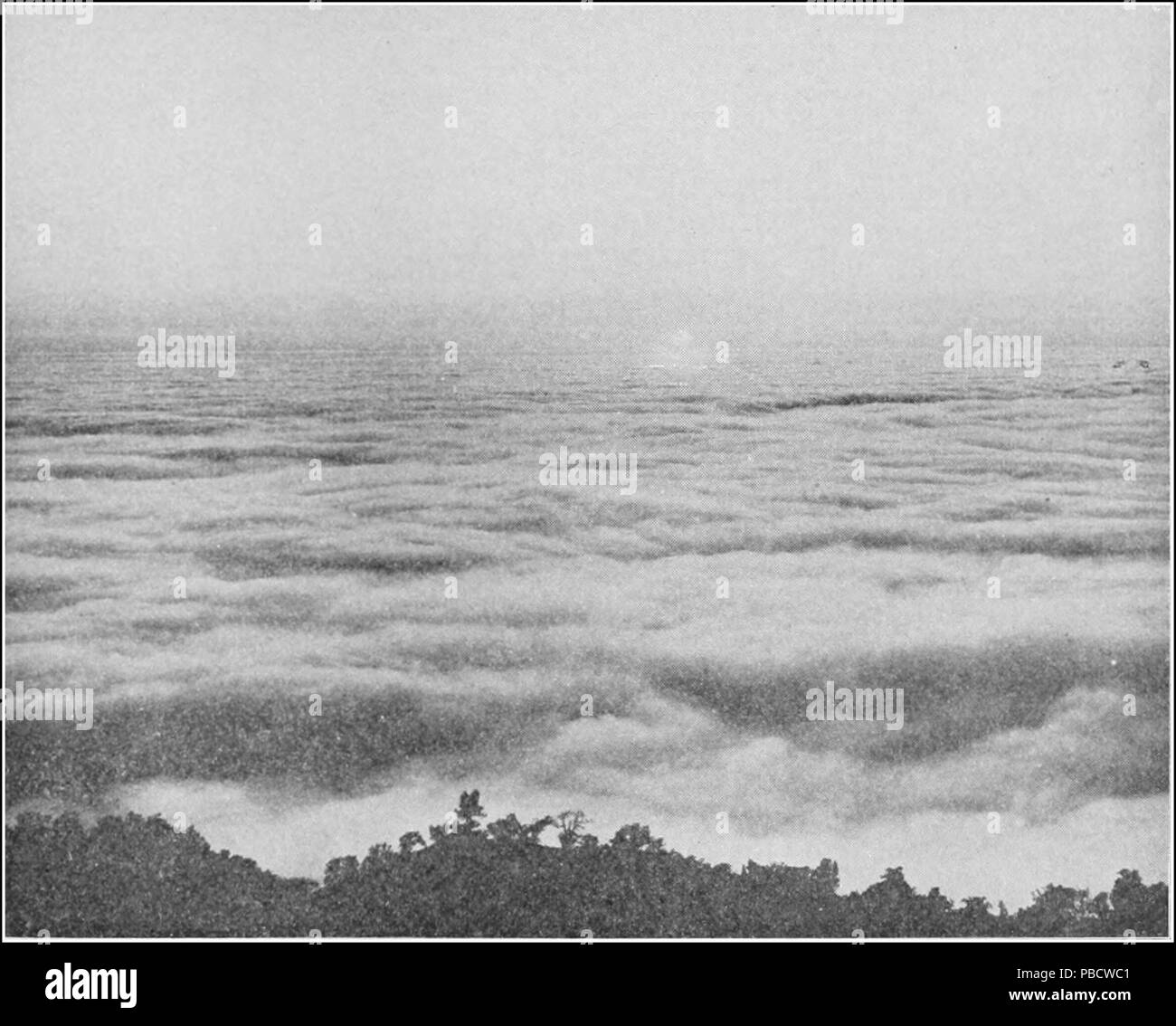1235 PSM V86 D217 Fog in the valleys surrounding mount hamilton Stock Photo