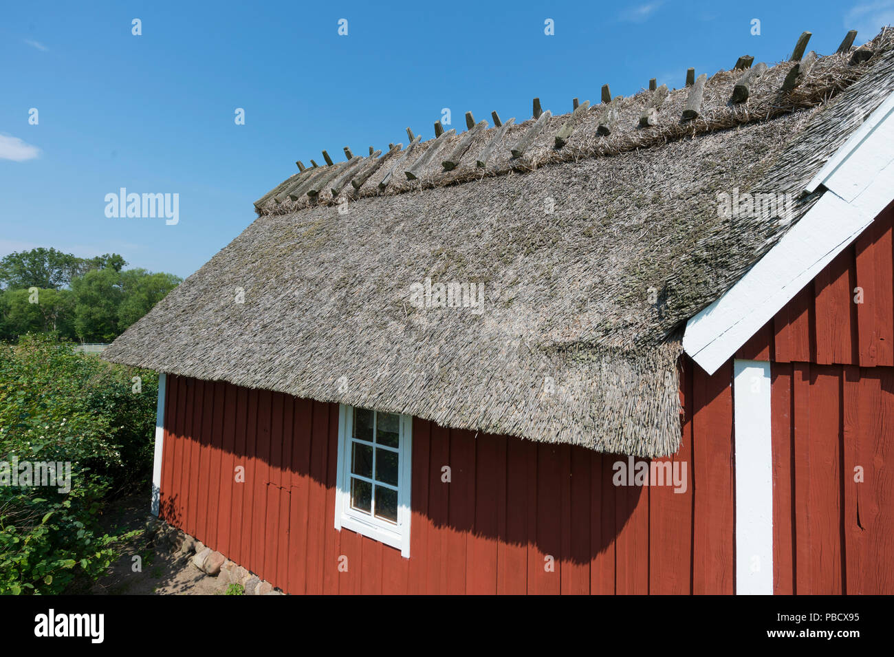 Traditional farm house with thatched roof  in southern Sweden, Skåne. Stock Photo