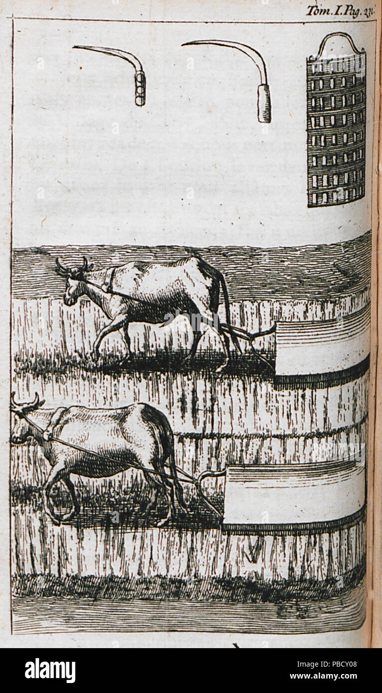 1247 Reaping tools Plowing with device drawn by oxen, Eastern Thrace, possibly Lüleburgaz area - Lucas Paul - 1712 Stock Photo