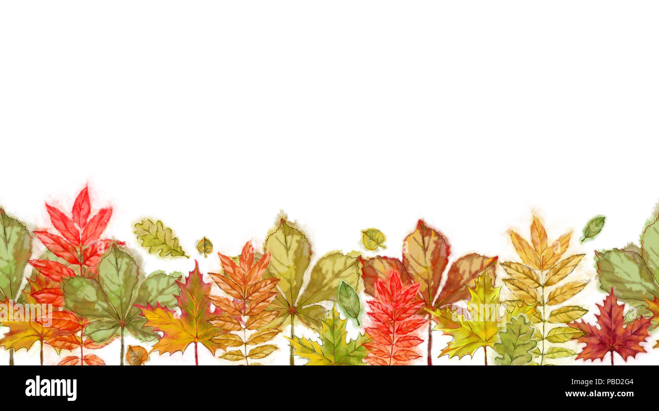 Fall Leaf Border Line