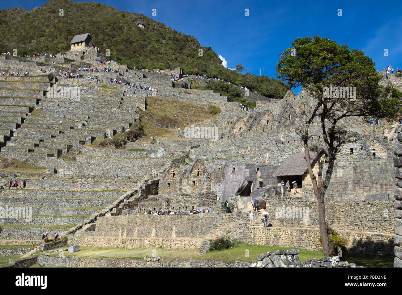 Ancient Inca Ruins of Machu Picchu Stock Photo - Alamy