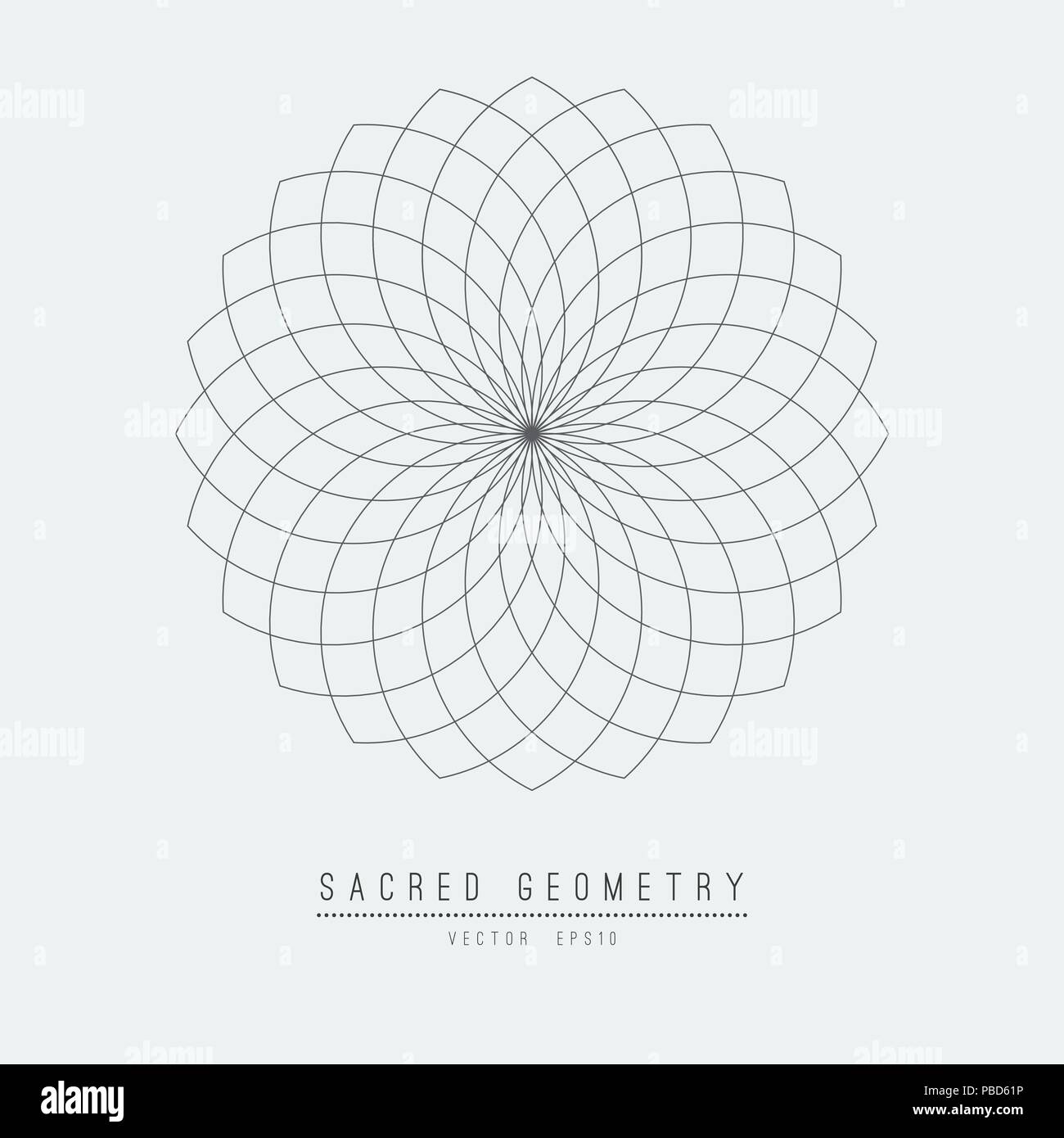 Sacred geometry line vector element flower of life . Vector illustration . Stock Vector