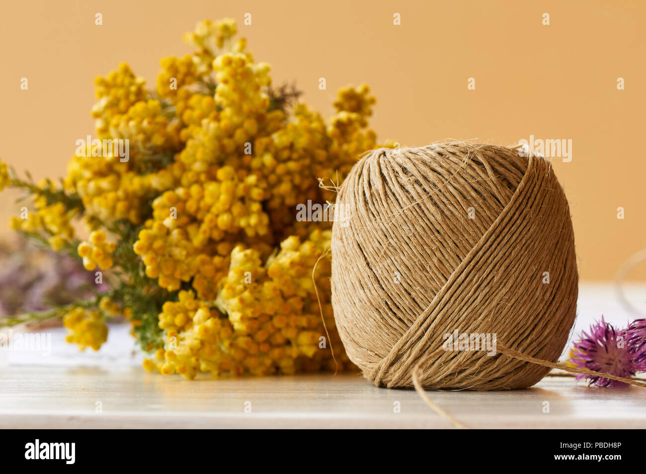 Cord skein and common shrubby everlasting (Helichrysum stoechas) yellow flowers over a table ready for preparing a flowers bouquet (Formentera,Spain) Stock Photo