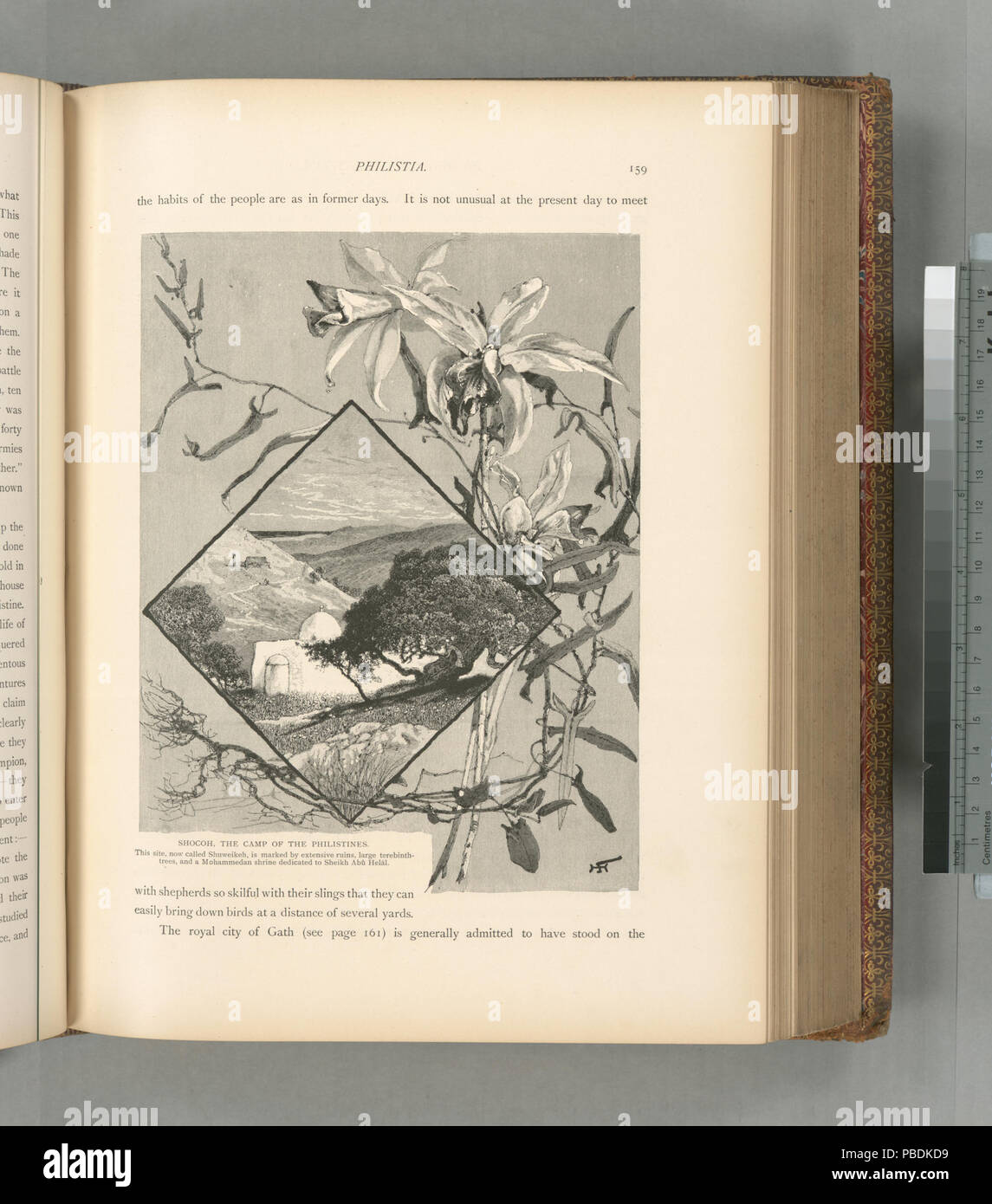 Helal Stock Photos & Helal Stock Images - Alamy