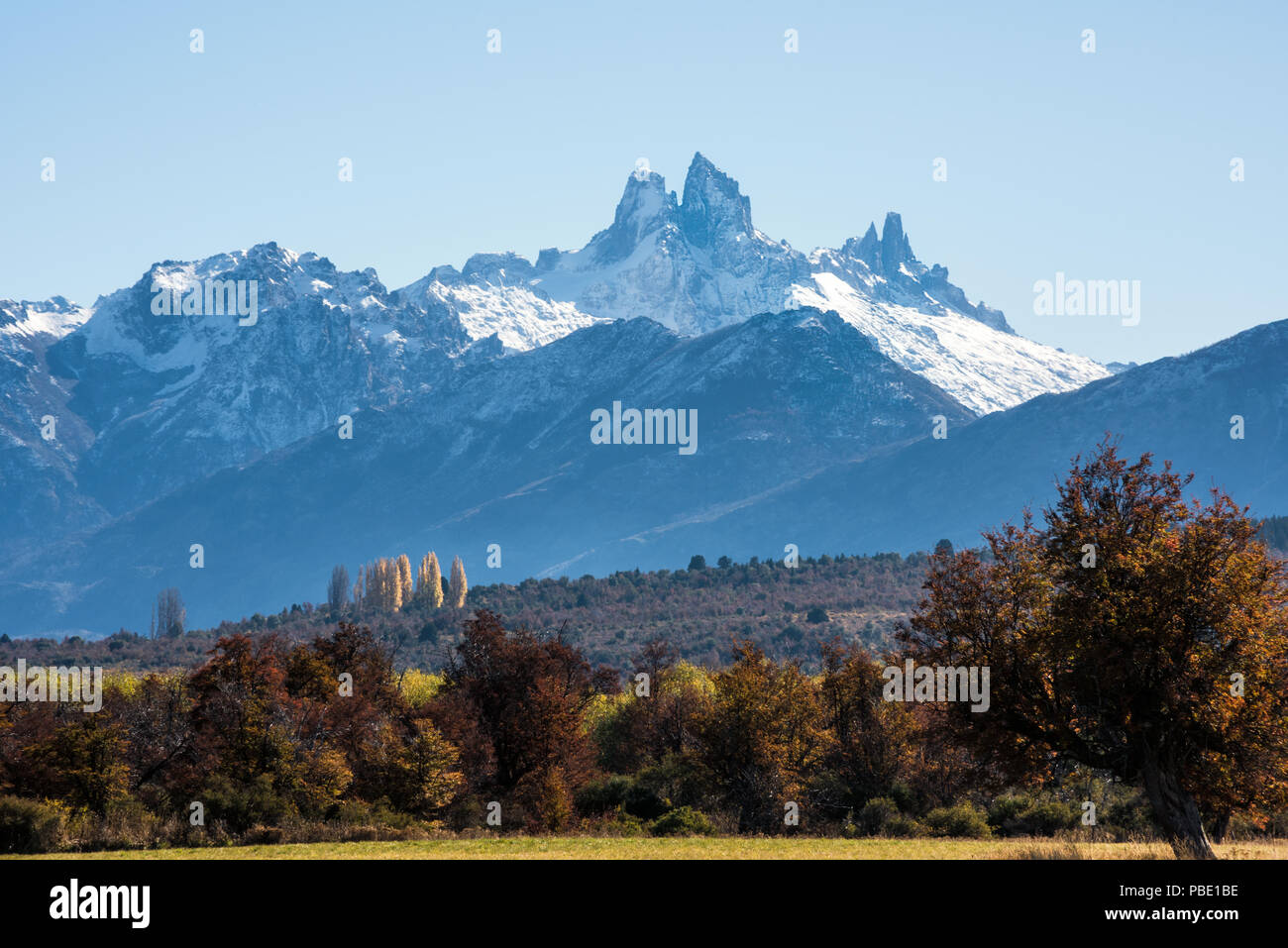 National Park Los Alerces, Chubut Province, Patagonia, Argentina Stock Photo