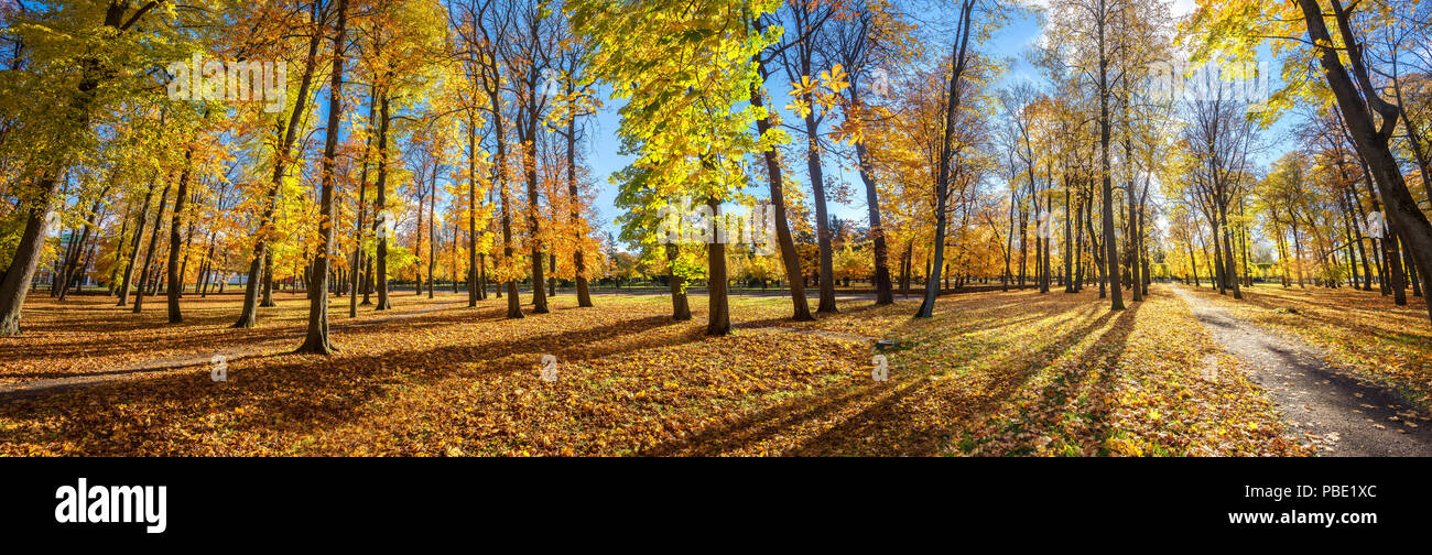 Panoramic landscape of parkland in Kadriorg Park at golden autumn. Tallinn, Estonia Stock Photo