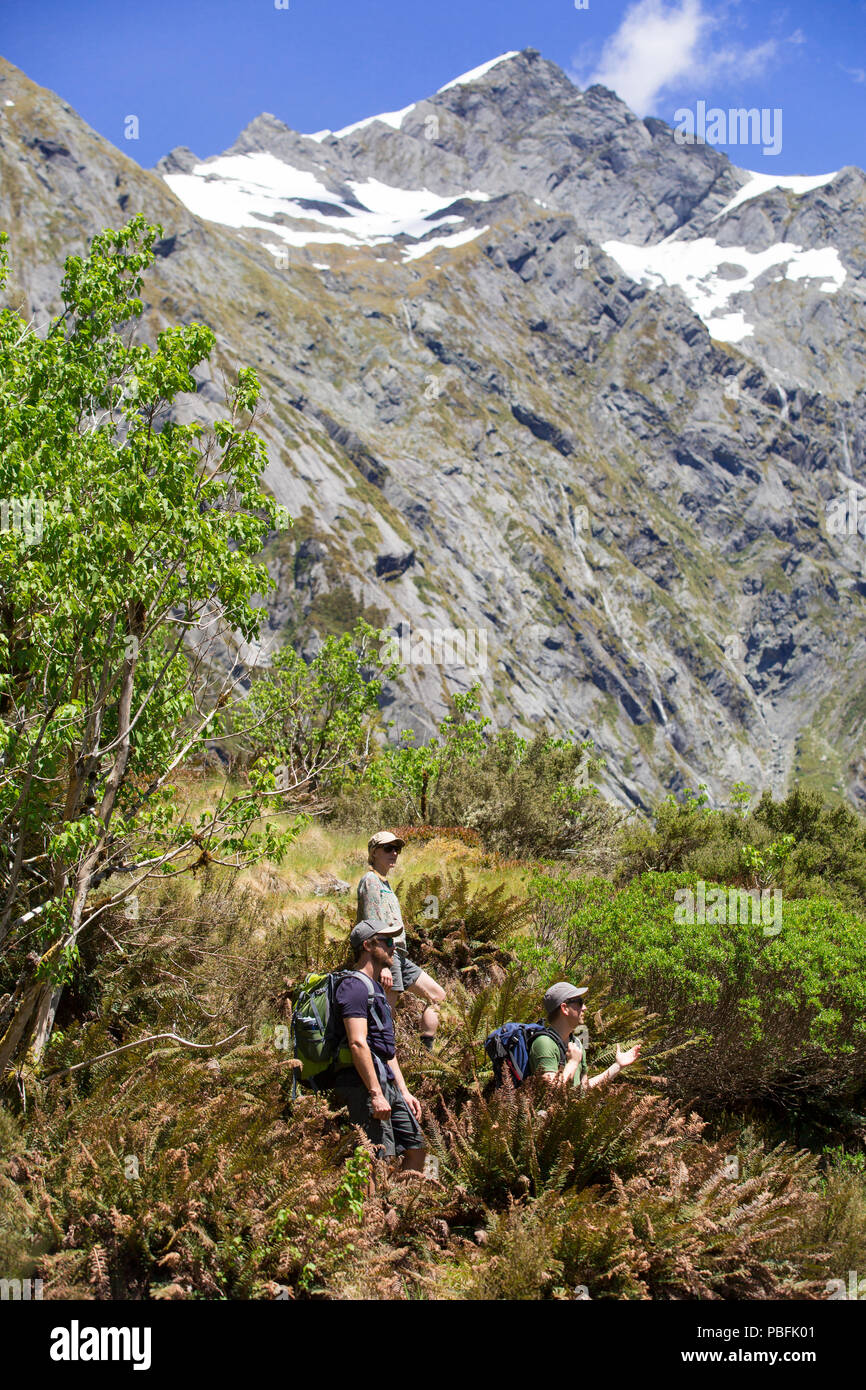 New Zealand aka Aotearoa, South Island, Mt Aspiring National Park, Siberia, group of friends hiking, admiring mountain view. Model released. Stock Photo
