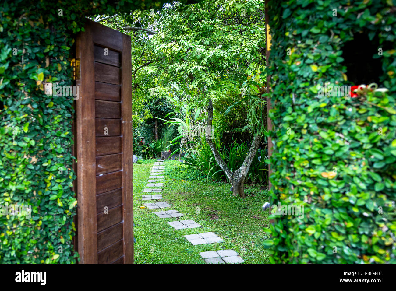 Horizontal Format With Green Door Way And Trees Beyond The Path