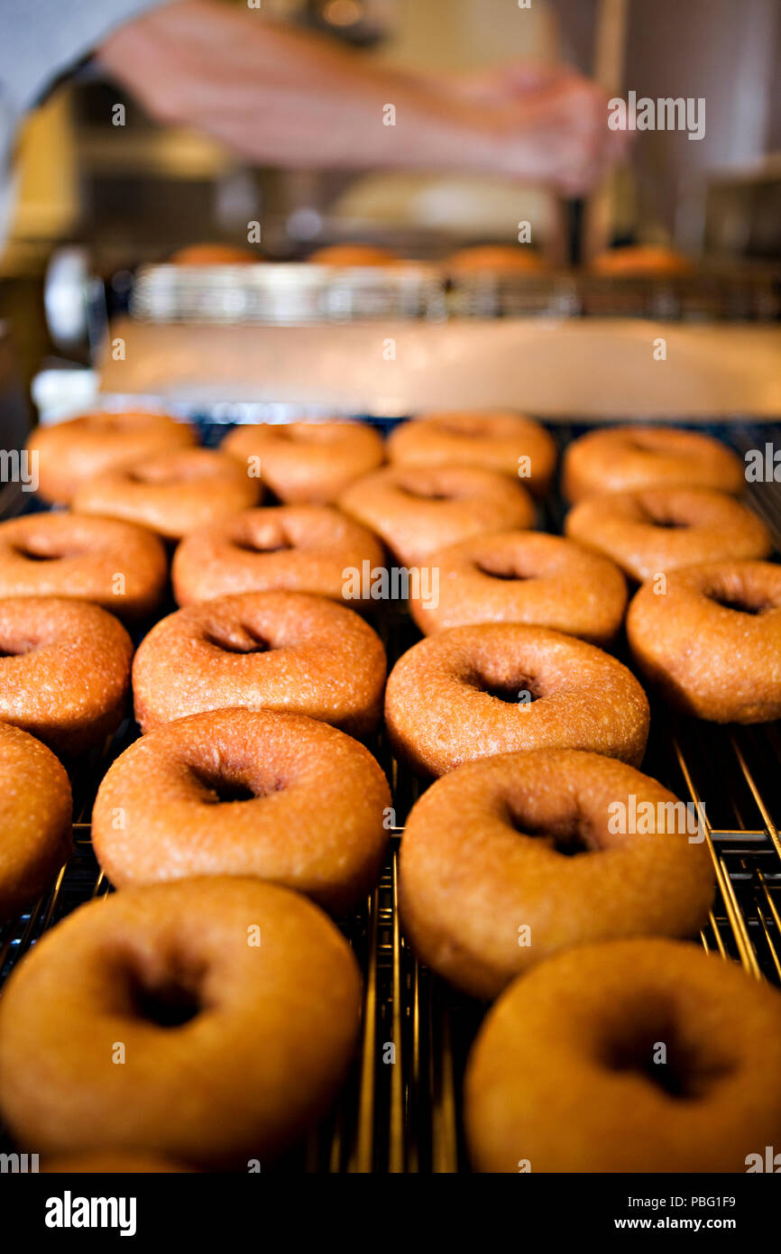 Fresh doughnuts made by hand Stock Photo Alamy