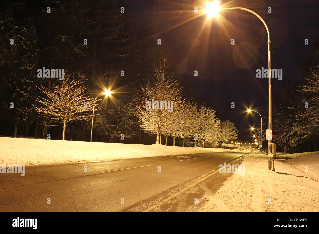 A winter road at night with snow covered trees and street lights Stock ...