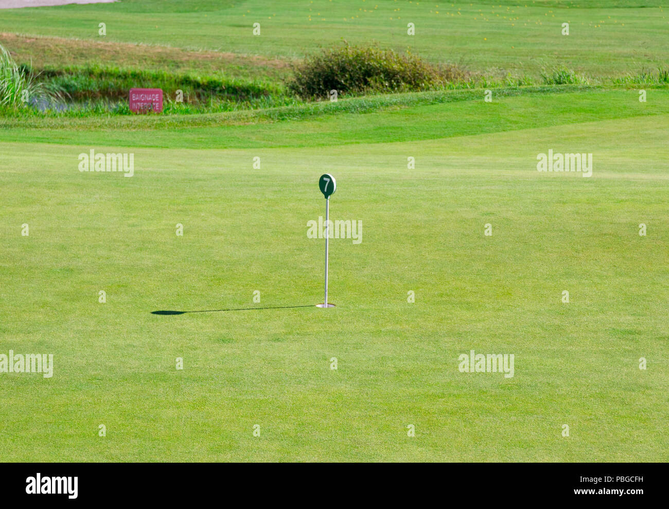 Golf Green Practice For Putting Hole Flag With Number Stock Photo - Alamy