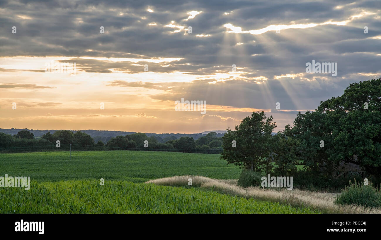 Sunburst, Henfield, West Sussex Stock Photo