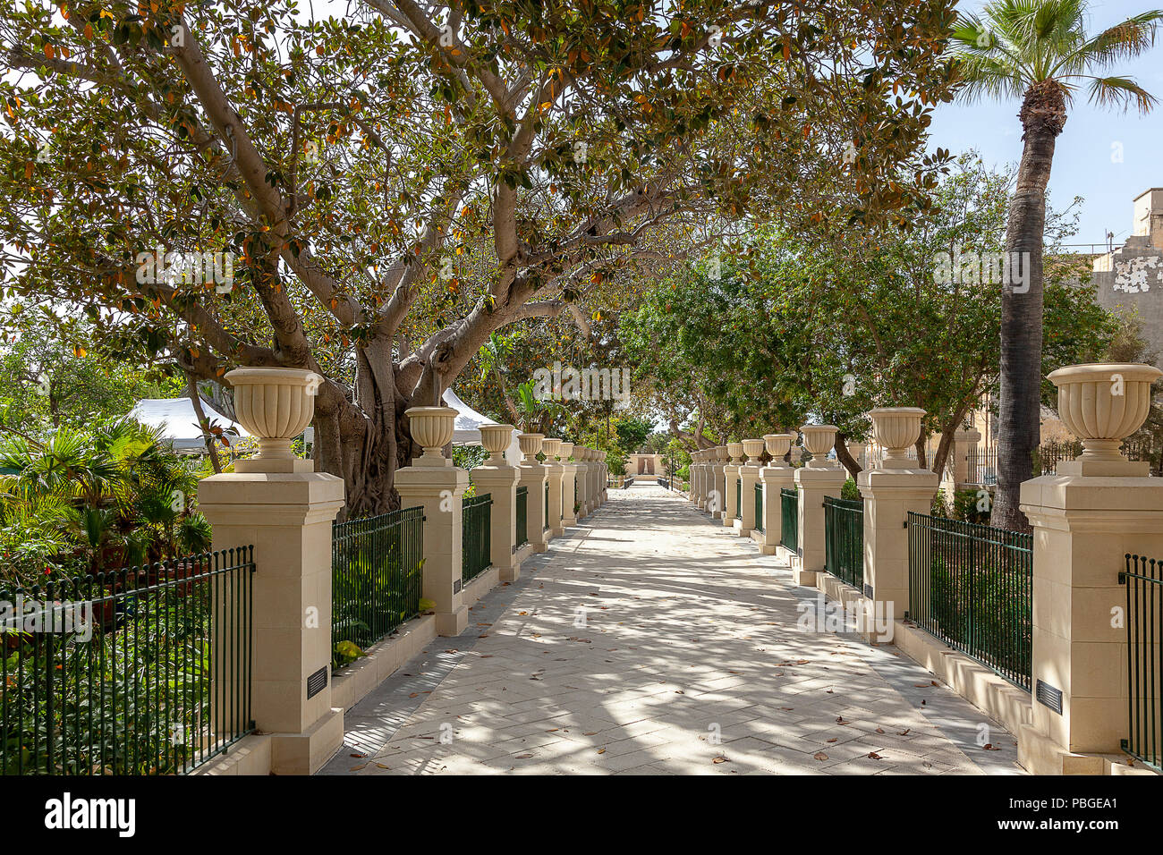 A beautiful tree lined avenue in Valletta, Malta Stock Photo - Alamy