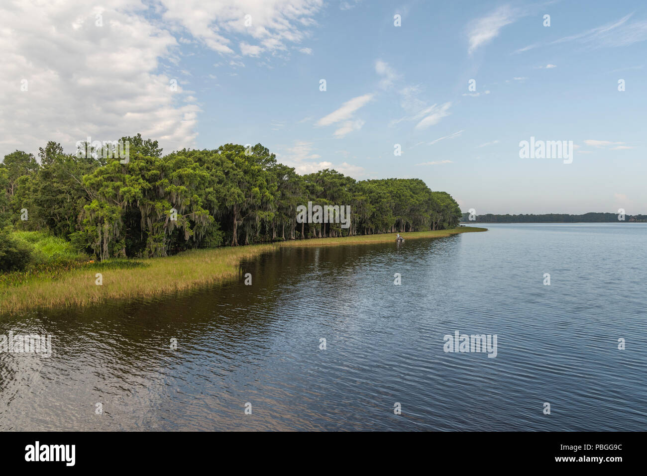 Little Lake Harris in Lake County, Florida USA Stock Photo Alamy