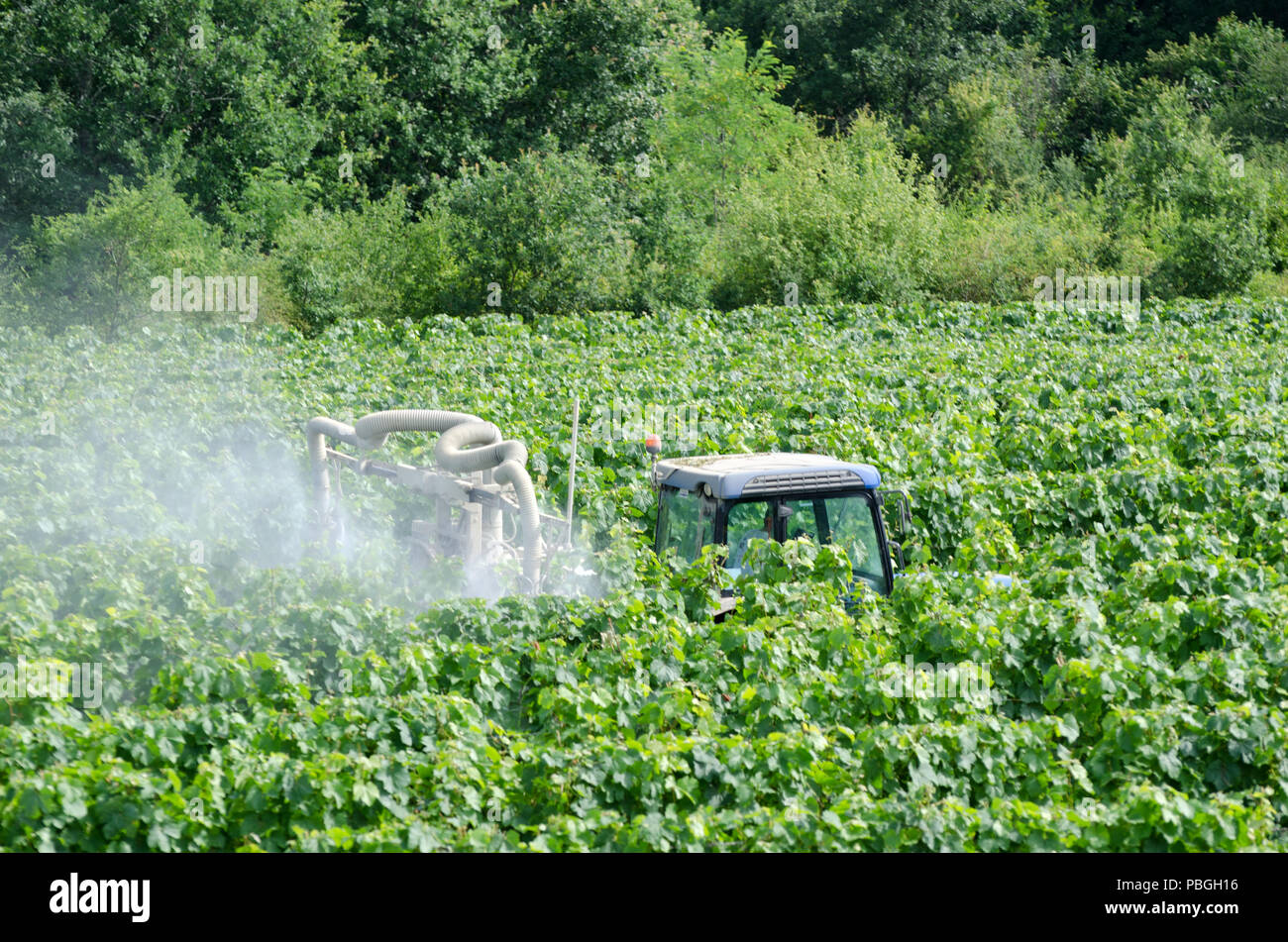 Spraying pesticide vineyard france hires stock photography and images