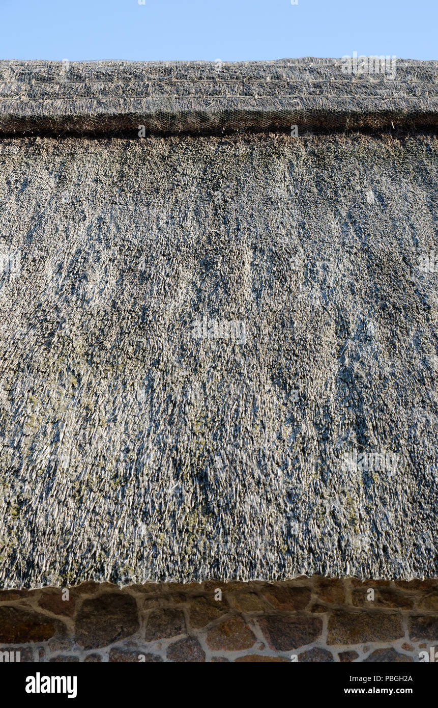 Thatch Roof Texture Background High Resolution Stock Photography and ...