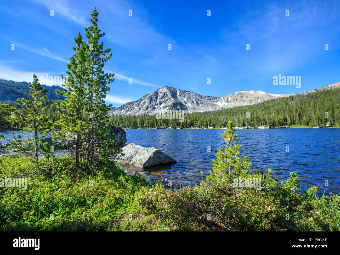 lake abundance in the pioneer mountains near melrose, montana Stock Photo