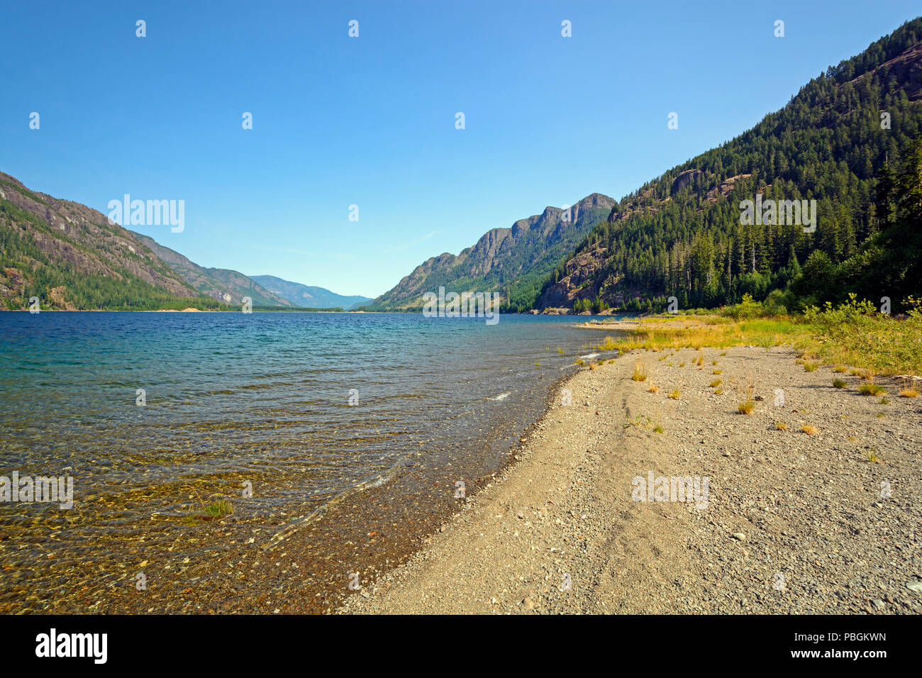 Shoreline View of Buttle Lake in Strathcona Provincial Park in Canada Stock Photo