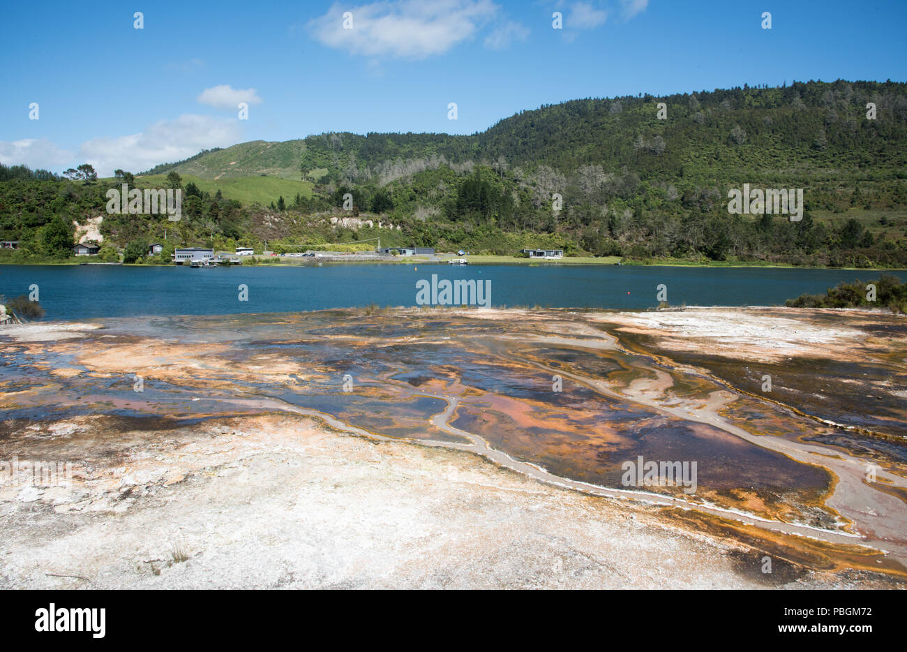 Rotorua, New ZealandDecember 16,2016 Microbial mats, Lake Ohakuri