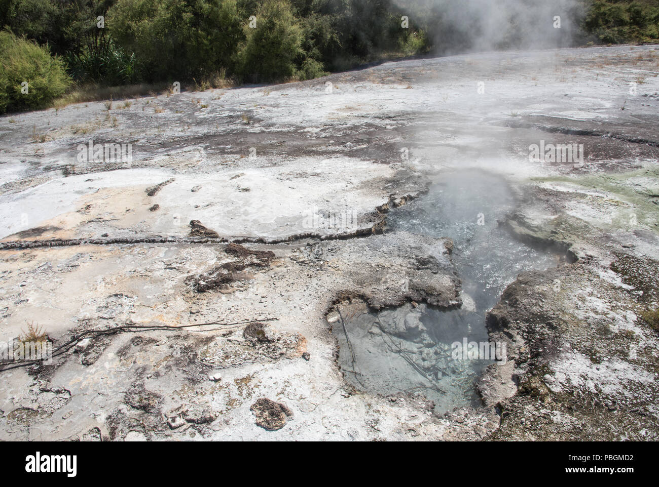 Sinter flat with hot springat the geothermal area Orakei Korako in Rotorua, New Zealand Stock Photo