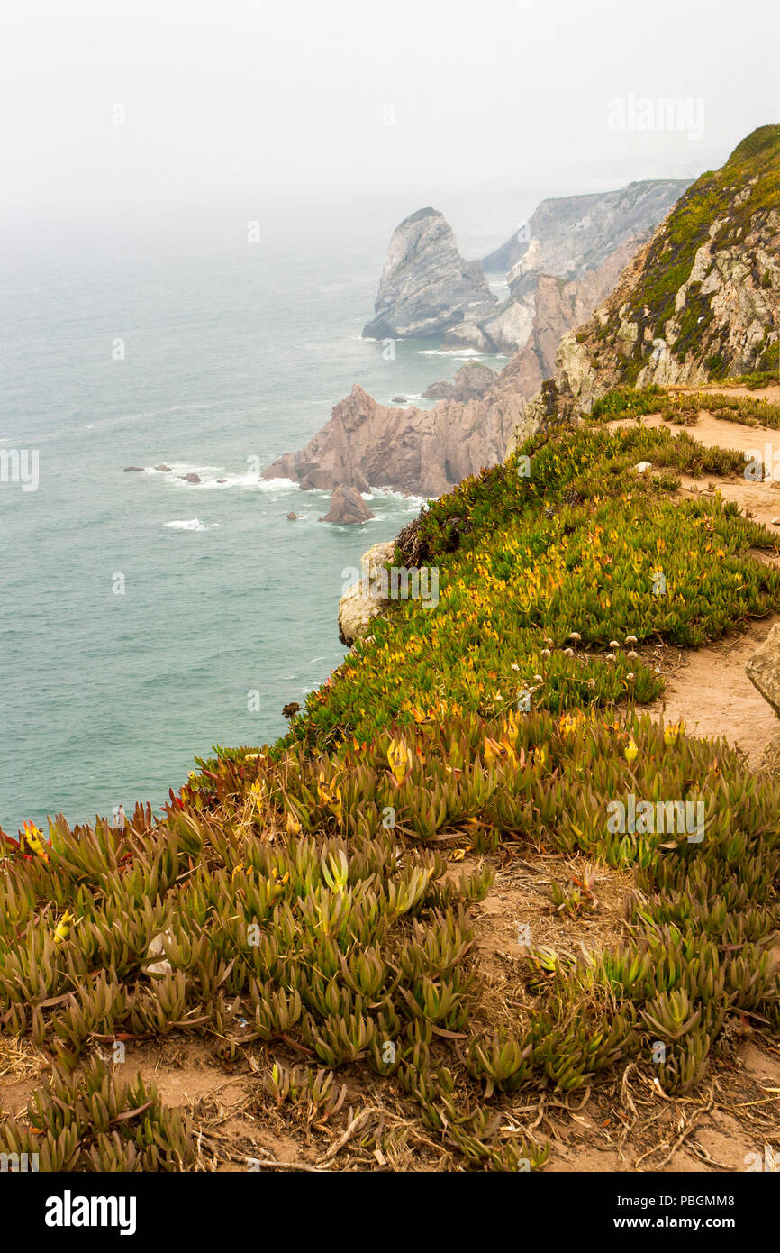 The cliffs of Roca's Cape on the Atlantic Ocean in Portugal Stock Photo