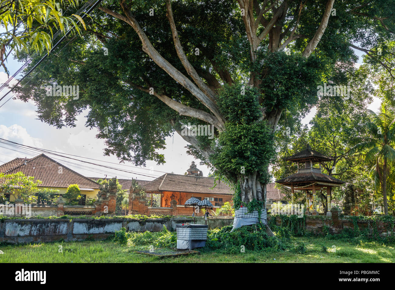 Bale, altar and big holy tree near Balinese Hindu temple at Buruan ...