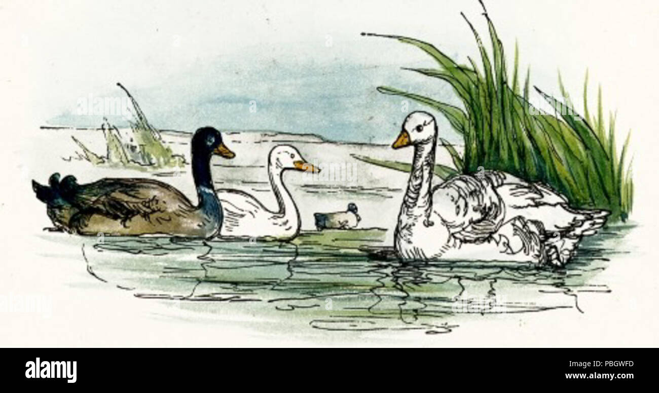 Serene pond view features duck hi-res stock photography and images - Alamy