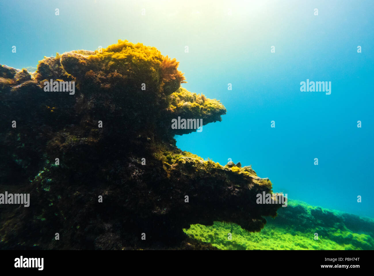 Underwater rocks hi-res stock photography and images - Alamy
