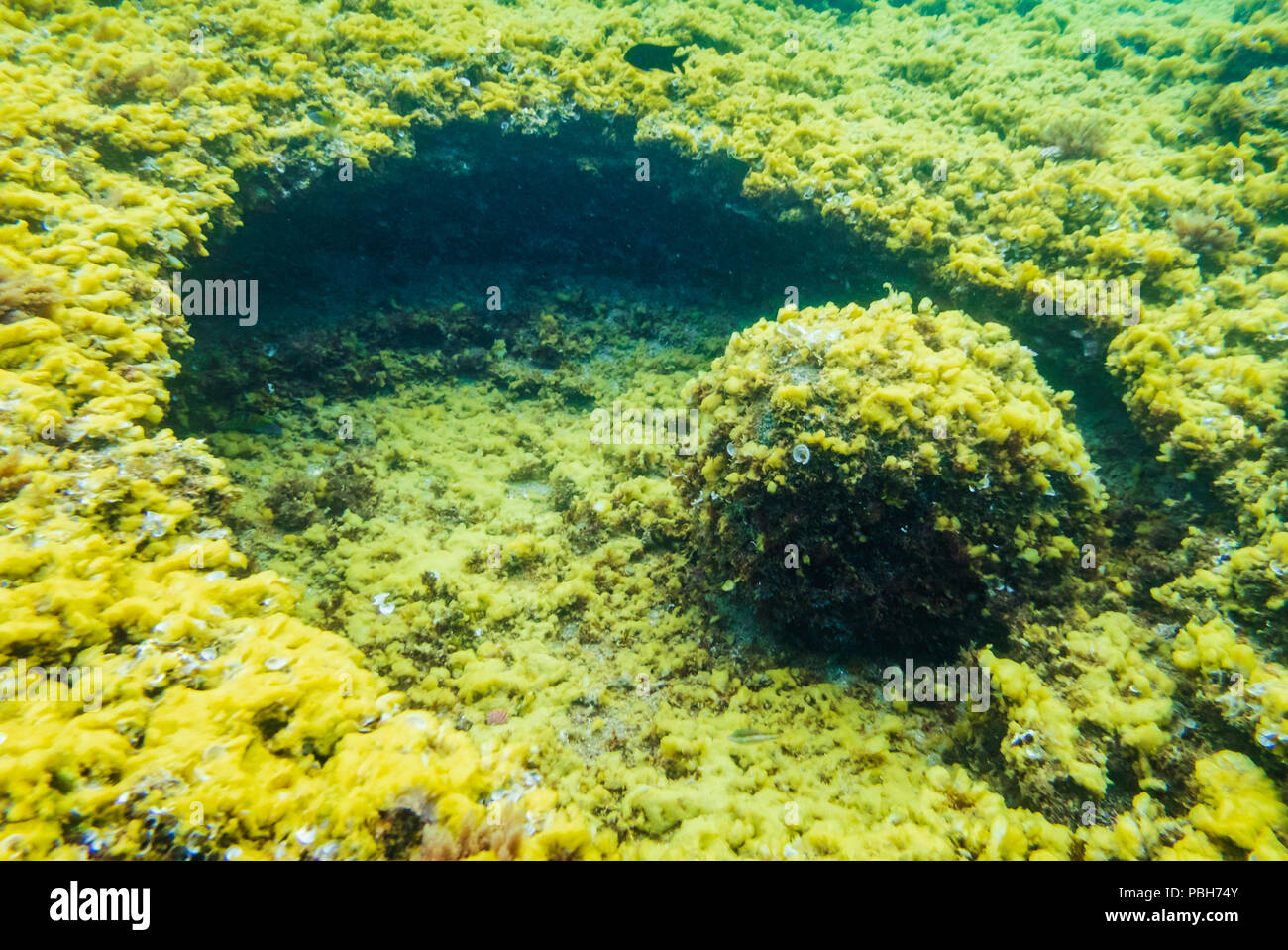 Underwater rocks hi-res stock photography and images - Alamy