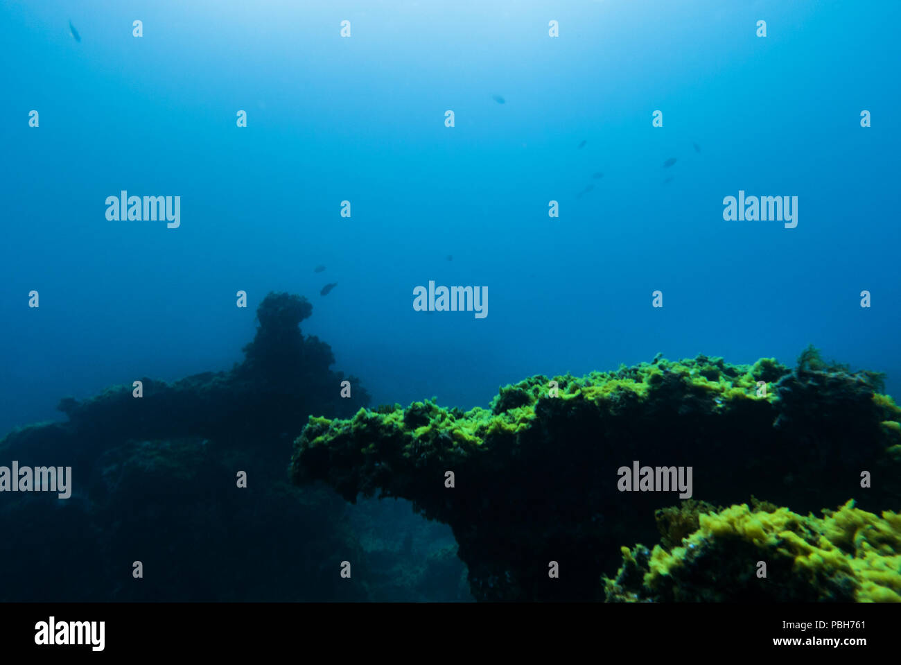 Underwater rocks hi-res stock photography and images - Alamy