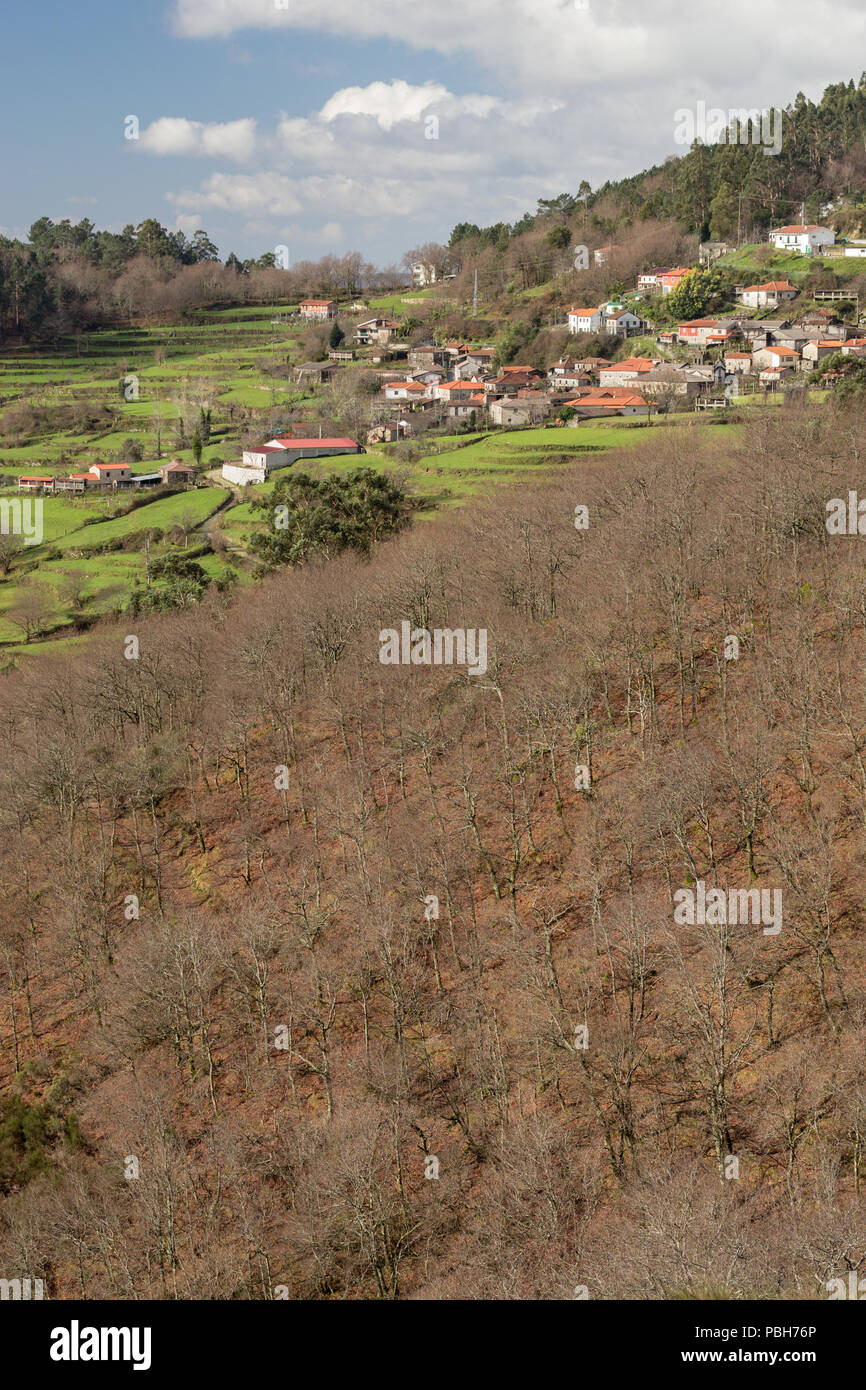 Paredes village view in Autumn, with stepped fields, near PNPG Parque Nacional Peneda - Geres, Portugal Stock Photo