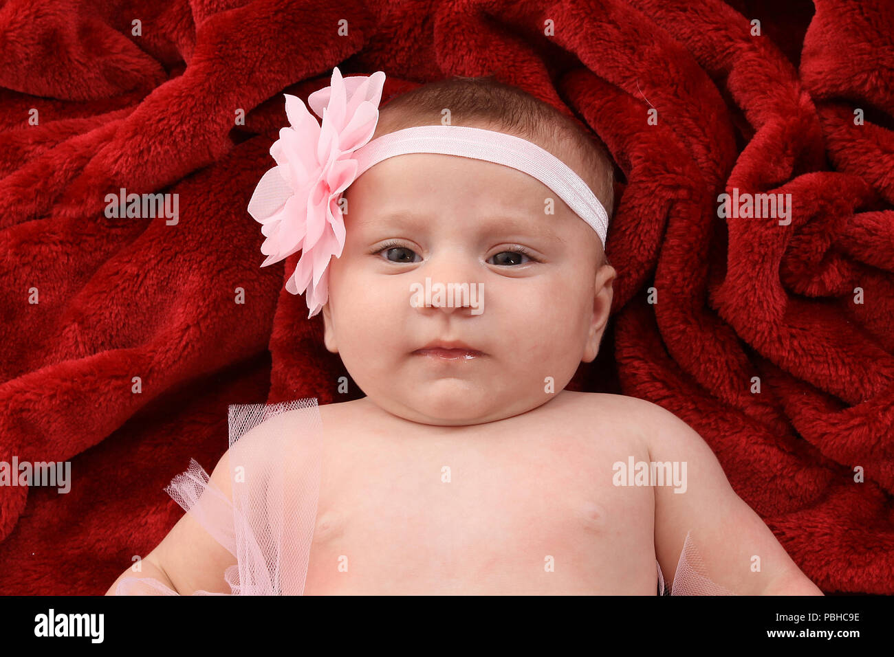 3 month old baby girl Stock Photo Alamy