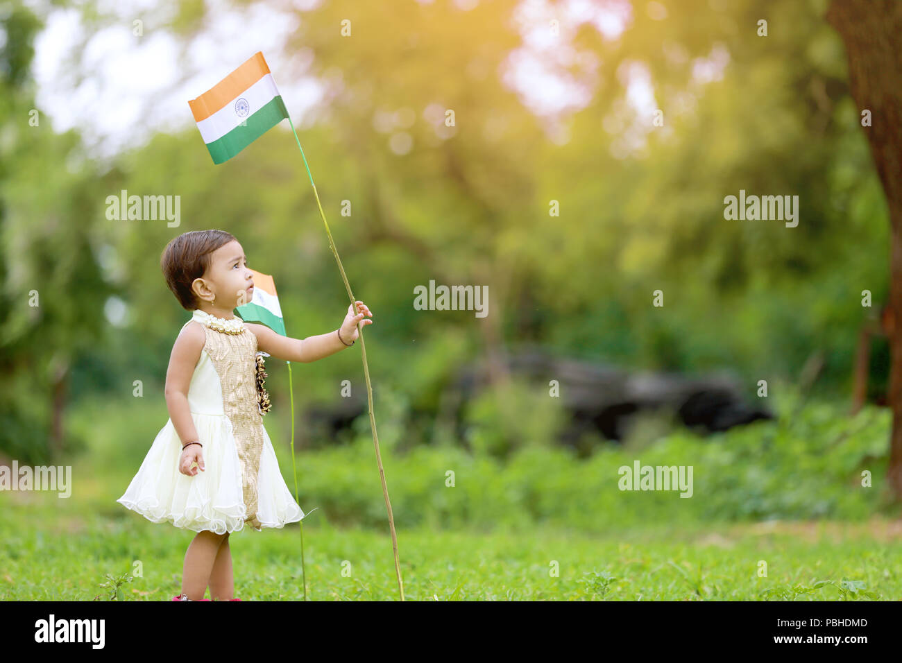 Indian girl holding an indian flag hires stock photography and images