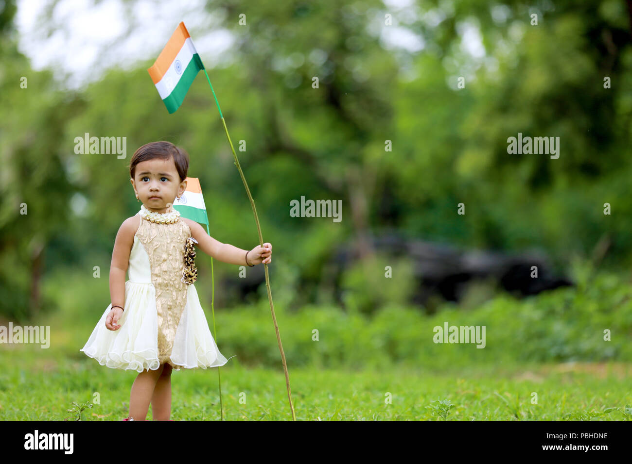 Indian girl holding an indian flag hires stock photography and images