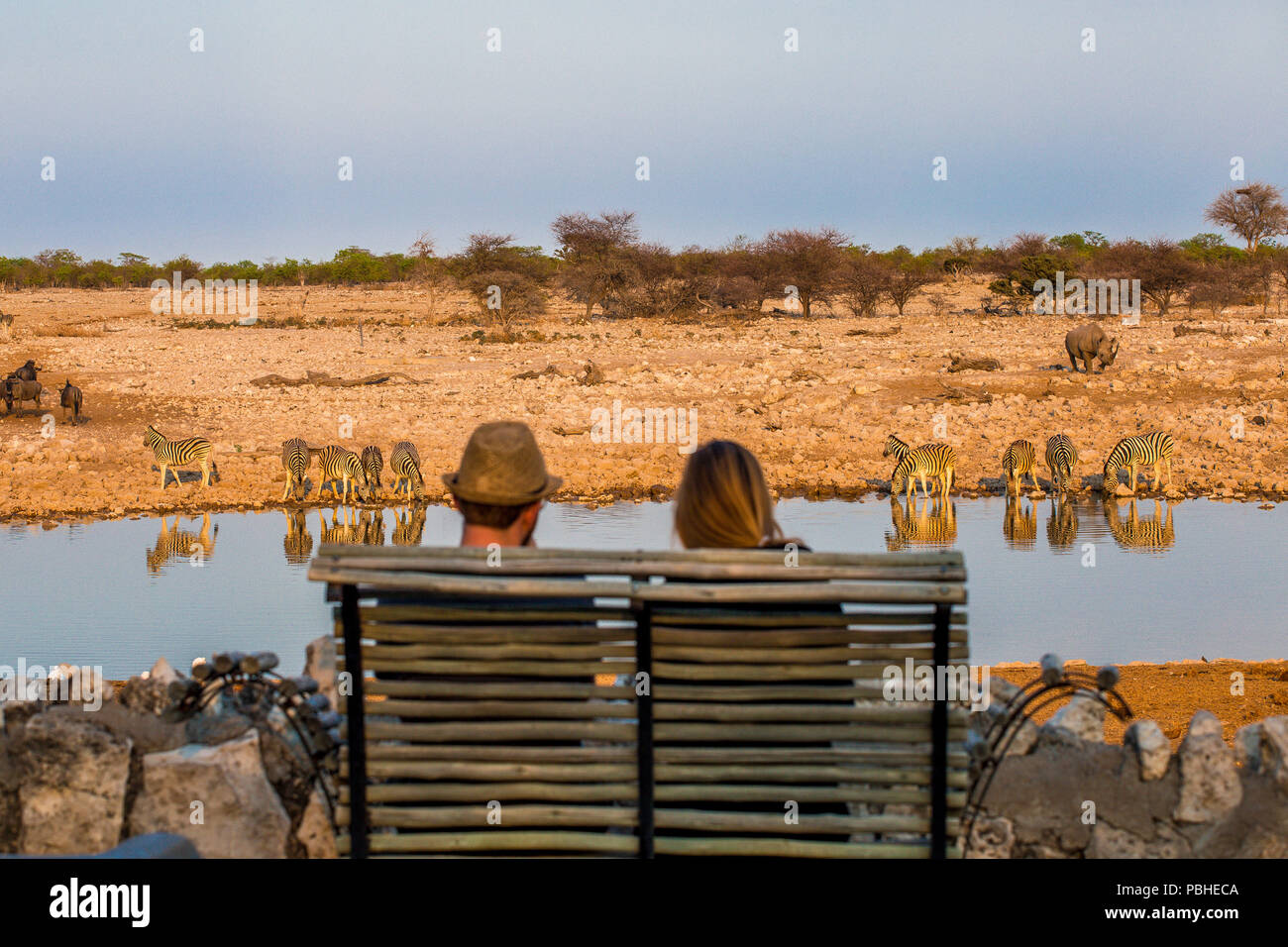 Rear view of young man observing animals in african savanna, Etosha National Park, Namibia. Stock Photo