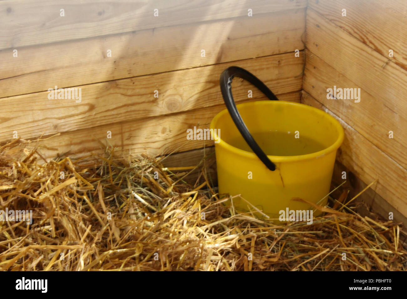 Download Yellow Water Bucket High Resolution Stock Photography And Images Alamy Yellowimages Mockups