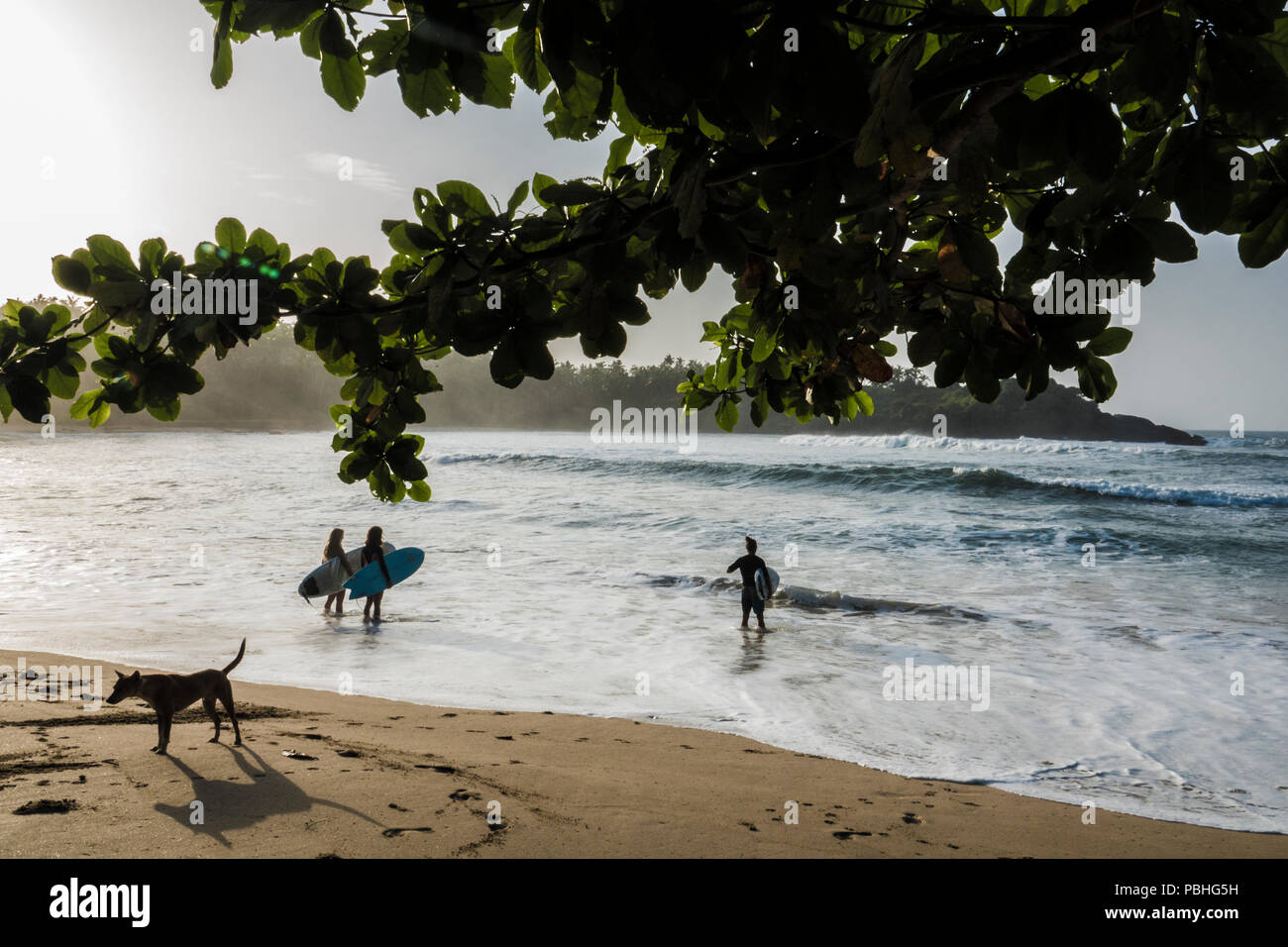 Asian female surfing ocean hi-res stock photography and images - Alamy