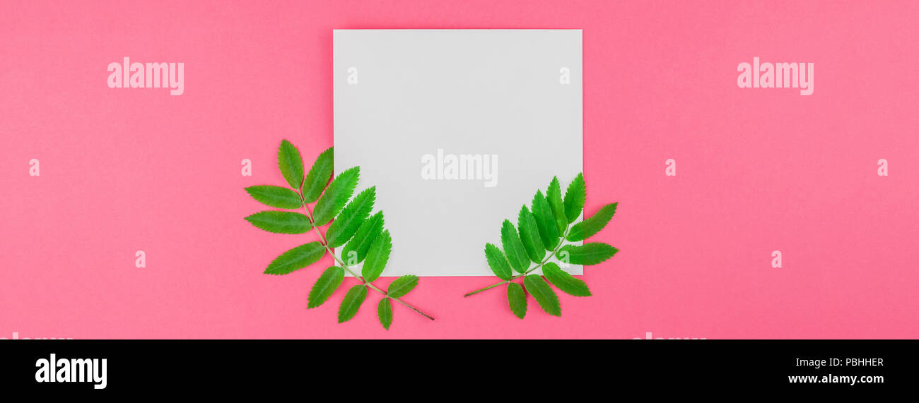 Creative flat lay top view white letter mock up with fresh green rowan ...