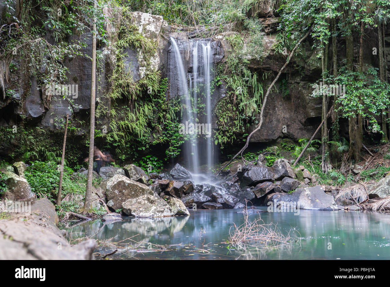 MOUNT TAMBORINE AUSTRALIA JULY 11 2018; Waterfall in Mount Tamborine rain forest on Gold Coast