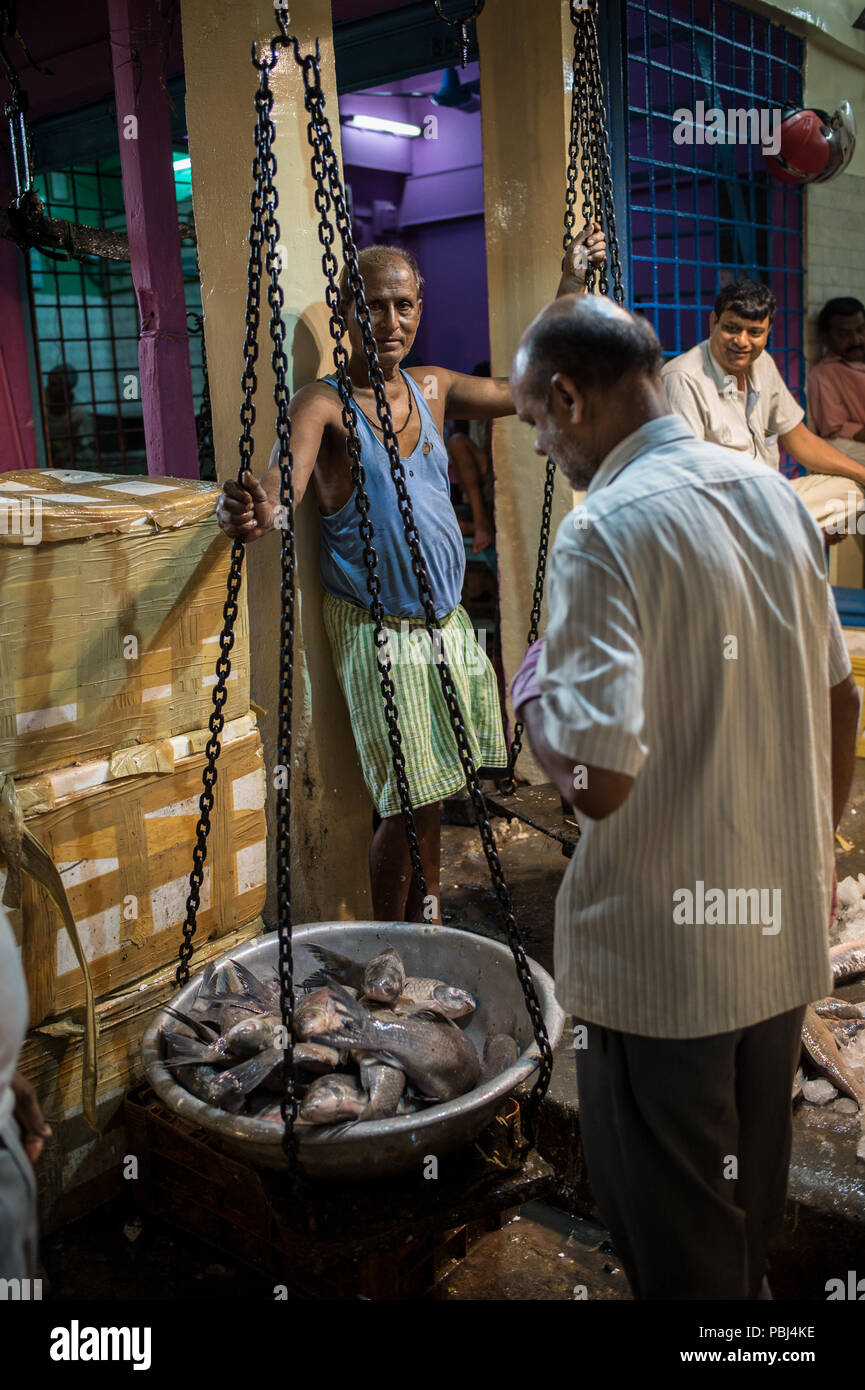 Kolkata fish market hires stock photography and images Alamy