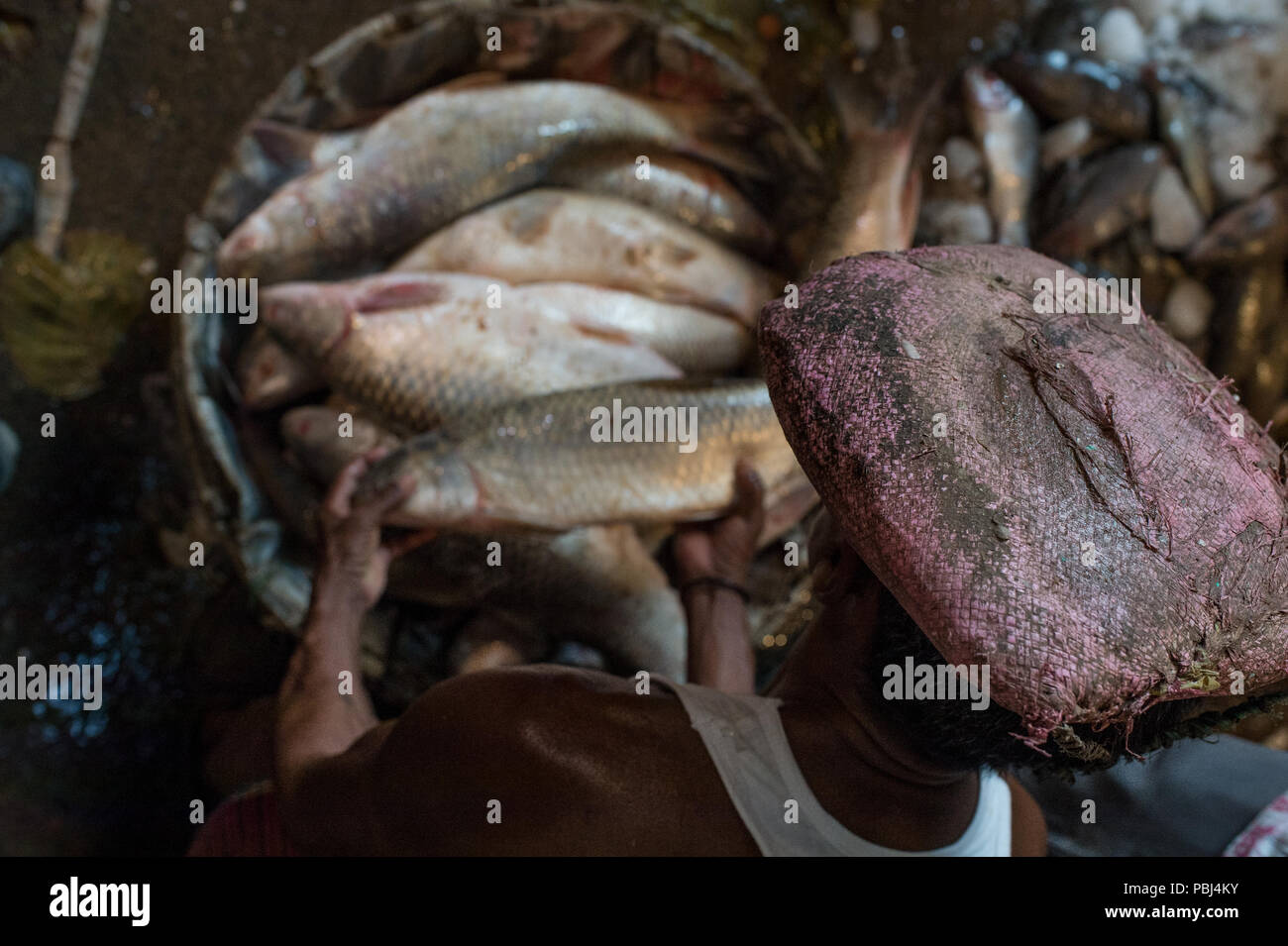 Fish Market, Kolkata, India, Asia Stock Photo Alamy