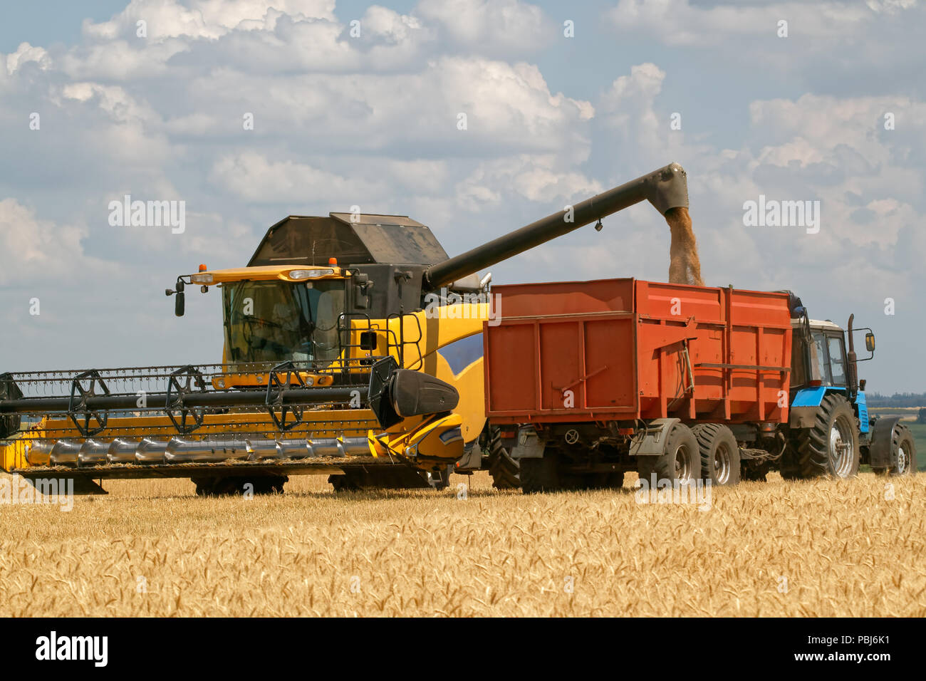 Combine Harvester Load Wheat In The Truck At The Time Of Harvest In A Sunny Summer Day Stock Photo Alamy