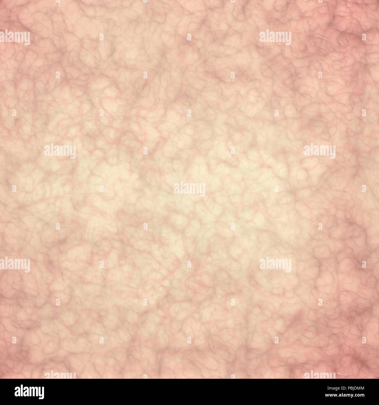Section of the skin, texture of the skin of a human body, anatomy. 3d rendering Stock Photo