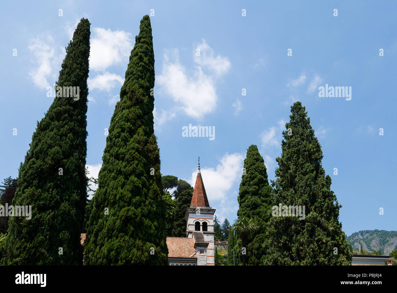 tree tops and church bell tower silhouetted against the blue sky,Italy Stock Photo