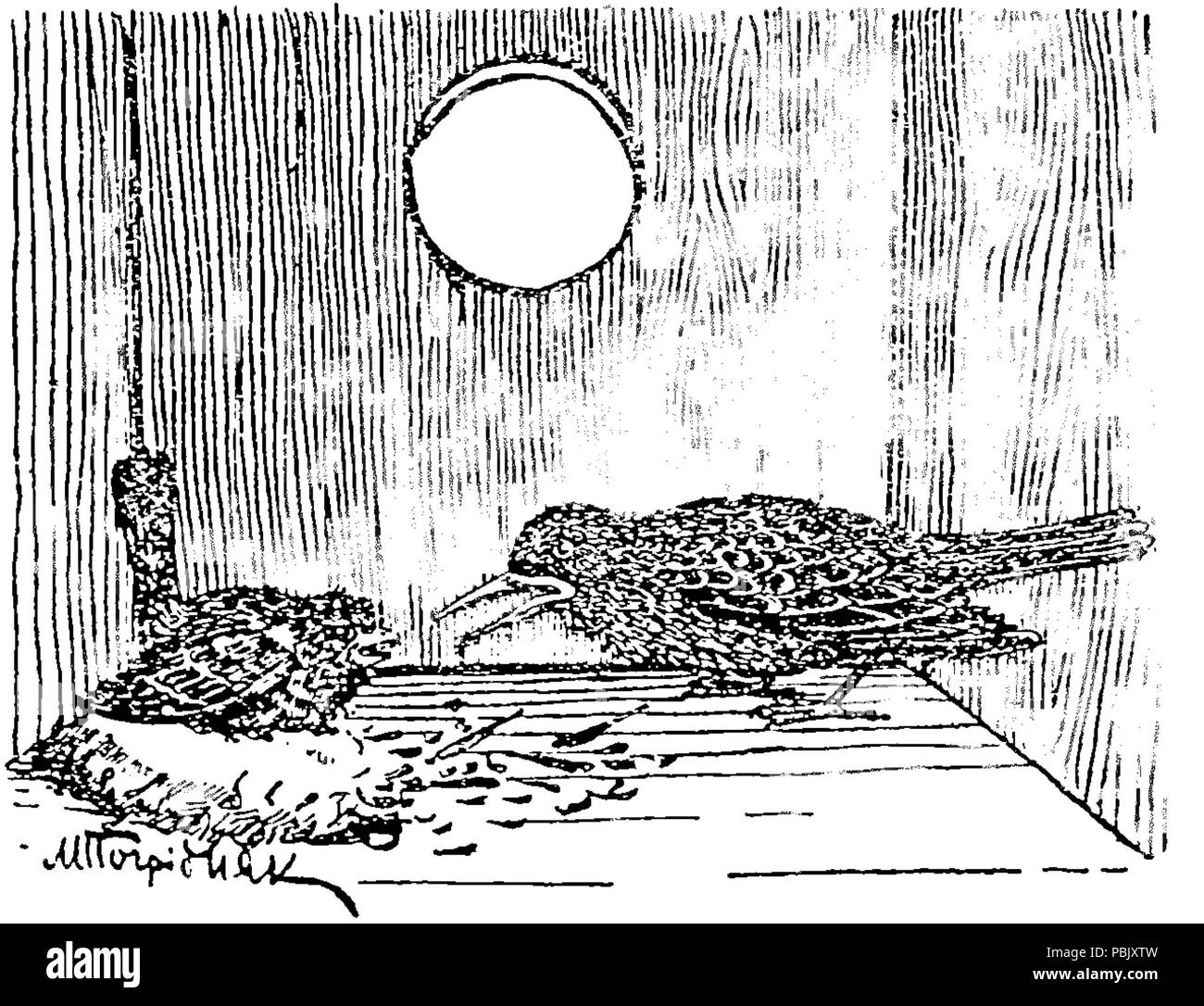 Старий новий рік розповідь