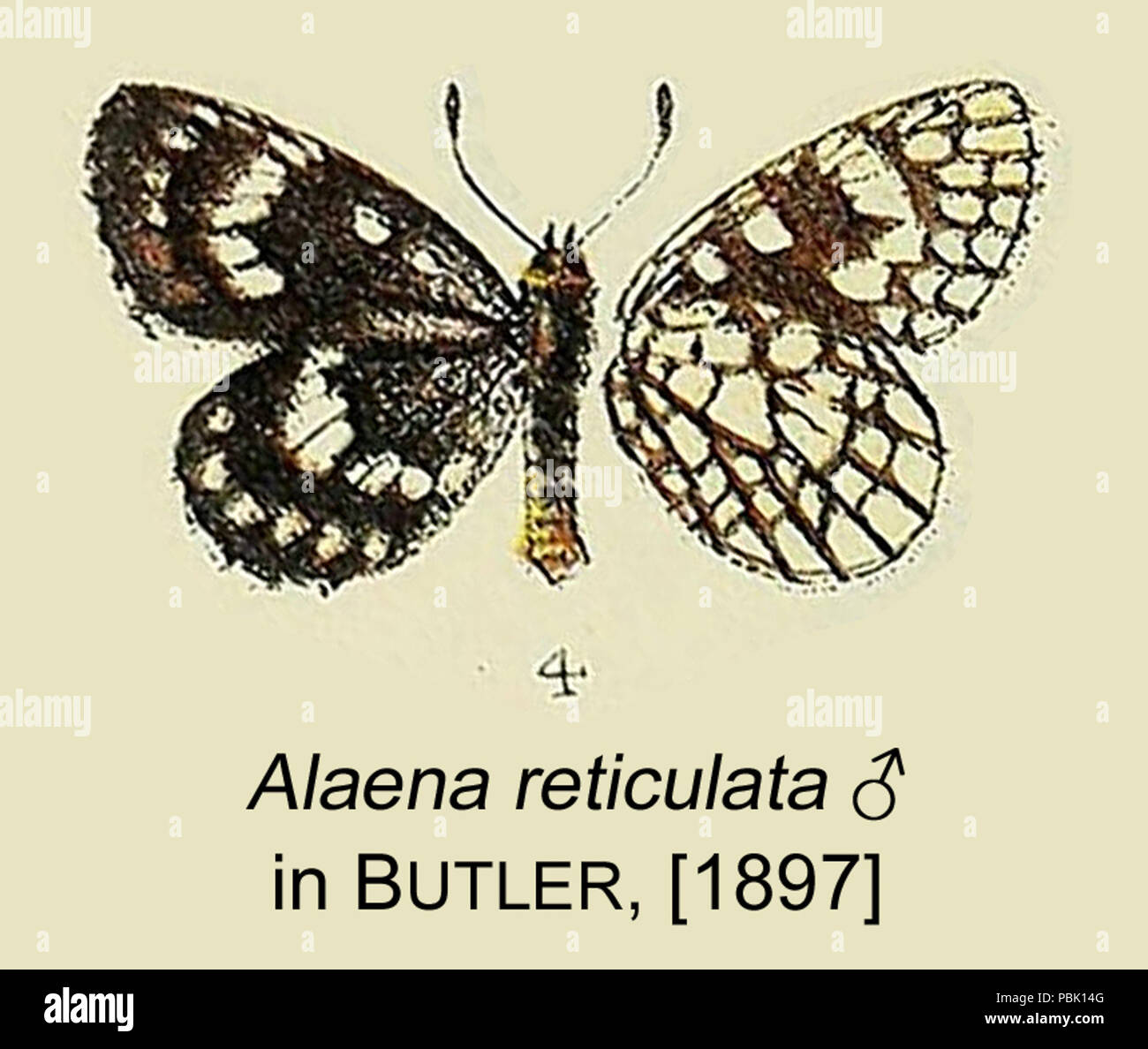 Detailed scientific illustrations hi-res stock photography and images ...